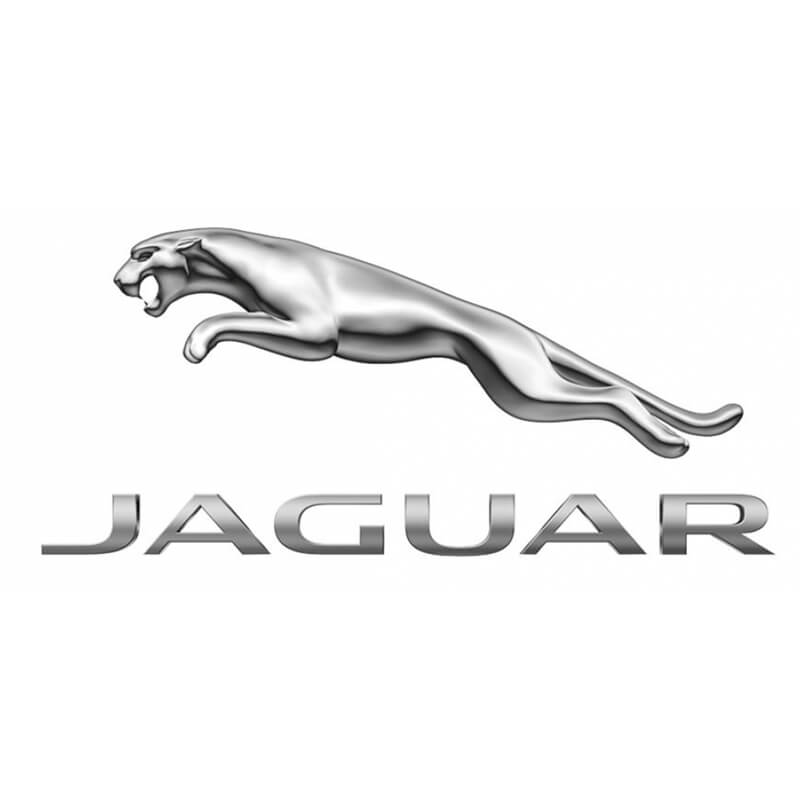 Jaguar Auto Repair & Maintenance Services from BeepForService Directory